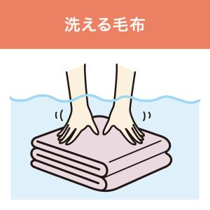 [在庫処分]コイズミ 電気毛布 敷き毛布 KD...の詳細画像3