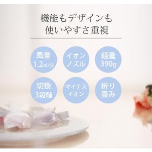[送料無料]コイズミ マイナスイオンドライヤー...の詳細画像2