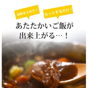 デリッシュキッチン 電気圧力鍋 スピードクック...の詳細画像4