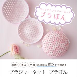[新色発売☆]プレミアムブラジャーネット 洗濯...の詳細画像1
