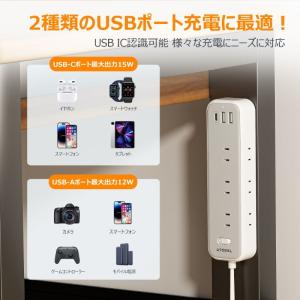 TESSAN コード式 12ポート 電源タップ...の詳細画像4