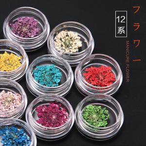 フラワー 押し花 ドライフラワー ネイル 花 ...の詳細画像1