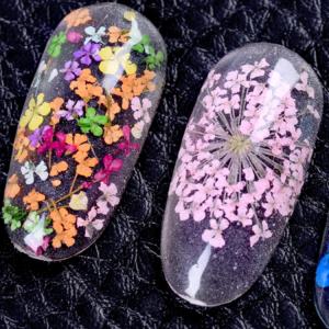 フラワー 押し花 ドライフラワー ネイル 花 ...の詳細画像5