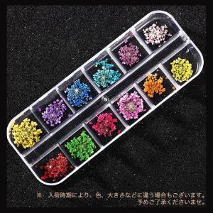 押し花 フラワー ドライフラワー 12カラー ...の詳細画像1