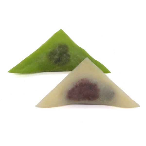 食べちゃいそうな 生八つ橋 (ニッキ・抹茶) 食品サンプル キーホルダー ストラップ マグネット