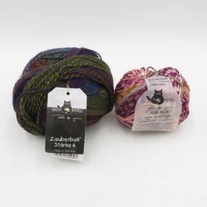 毛糸 SCHOPPEL ショッペル Zauberball starke 6/Life style セット ザウバーボールの商品画像