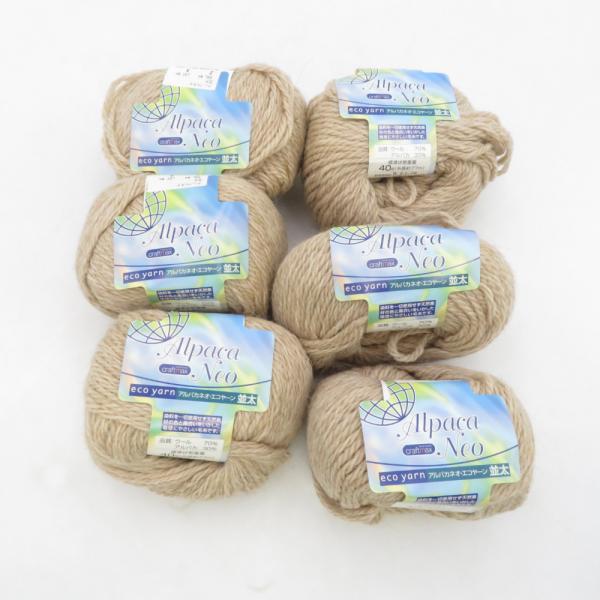 毛糸 クラフトマックス アルパカネオ エコヤーン 並太 6玉セット 2番色 1玉40g巻 約77m ...