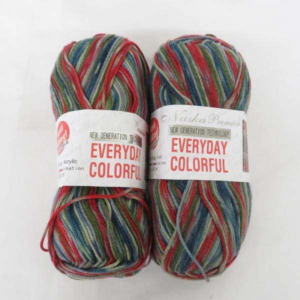 毛糸 Naska Premier EVERYDAYCOLORFUL ナスカ エブリデイカラフル 2玉...