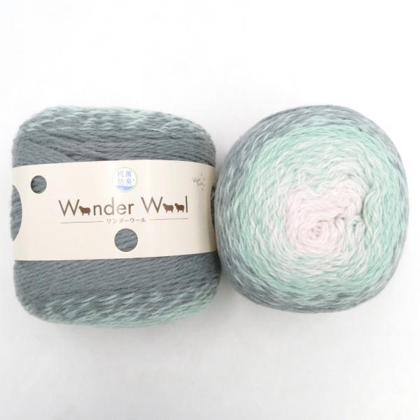毛糸 抗菌防臭 Wonder Wool ワンダーウール 色番14 150g×2玉（合計 300g）グ...