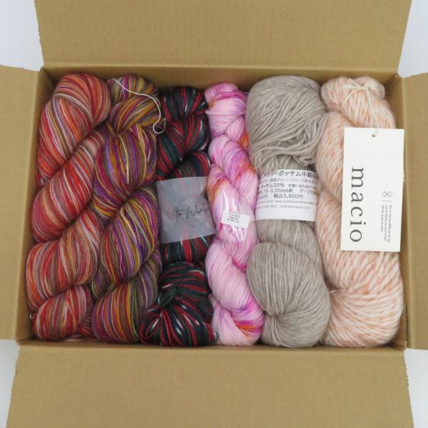 毛糸 メーカーいろいろ 6かせセット アソート Seeknit 作家糸 ソックヤーン 秋冬毛糸 未使...