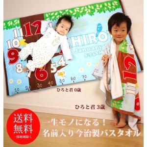 【約30営業日出荷】 出産祝い 名入れ 名前入...の詳細画像1