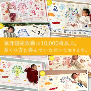出産祝い 名入れ ギフト 贈り物 男の子 女の...の詳細画像1