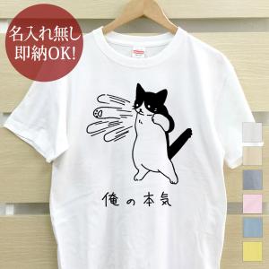 おもしろTシャツ メンズ レディース ウケねらい 袋入り黒猫 ねこ