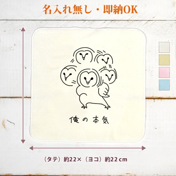 今治製 タオルハンカチ おもしろ ウケねらい フクロウ 梟 動物 鳥 グルグルダンス 俺の本気 クリ...