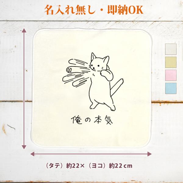 今治製 タオルハンカチ おもしろ ウケねらい ネコ 白猫 ネコパンチ 百裂拳 動物 俺の本気 クリス...