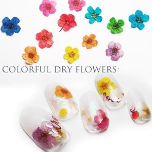 Cocoro Nail ヤフー店 押し花 ドライフラワー ネイルアート用品 Yahoo ショッピング