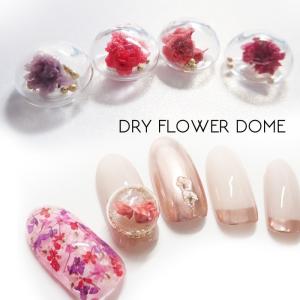Cocoro Nail ヤフー店 押し花 ドライフラワー ネイルアート用品 Yahoo ショッピング
