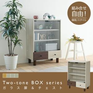 キャビネット ガラス扉 ディスプレイラック 扉付き コレクションラック