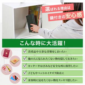 収納棚 扉付き 収納ボックス リビング収納 本...の詳細画像5