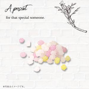 花こんぺいとう プチギフト 【hearty】 ...の詳細画像3