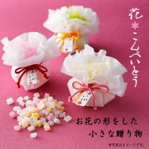 花こんぺいとう プチギフト 【hearty】 ...の詳細画像4