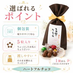 プチギフト 卒園 卒業 ハロウィン 小学生 子...の詳細画像3