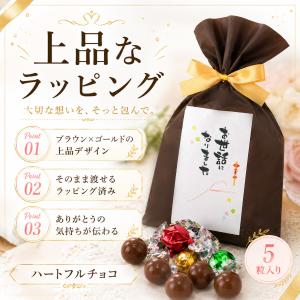 プチギフト 卒園 卒業 ハロウィン 小学生 子...の詳細画像5