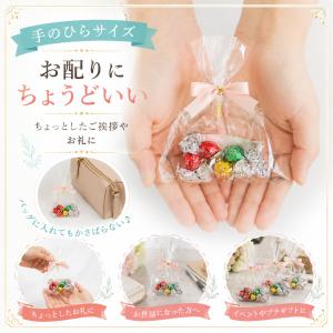 プチギフト キラキラチョコ コンポジション チ...の詳細画像3