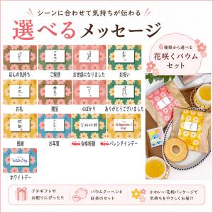 プチギフト 500円 退職 花咲くバウムセット...の詳細画像5