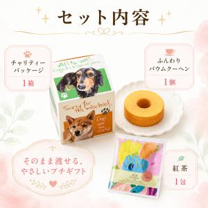 チャリティーアネラペット お菓子 300円 バ...の詳細画像4