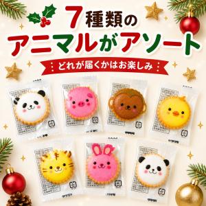 プチギフト お菓子 小さな クリスマスギフト ...の詳細画像5