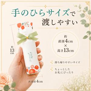 プチギフト 和柄 ノルディック・ハーモニー お...の詳細画像4