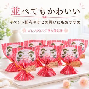 プチギフト 合格祈願 だるまバスソルト 入浴剤...の詳細画像4
