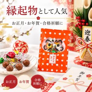 プチギフト 縁起物だるま 願いは叶う チョコ ...の詳細画像1