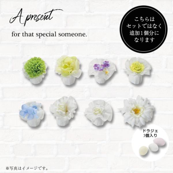 セシル  プチギフト 【hearty】【20個セット】 退職 結婚式 お中元 敬老の日  育休 お中...