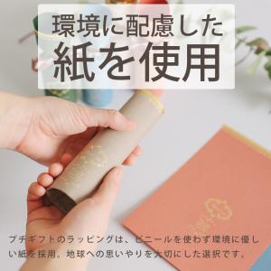 プチギフト 猫 ミネット 入浴剤 バスソルト ...の詳細画像5