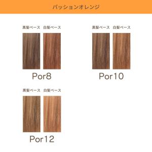 アペティート プロクリスタル ノンジアミン ヘ...の詳細画像4