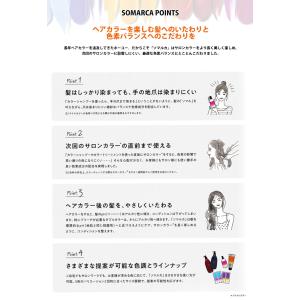 ホーユー ソマルカ アッシュ ピンク 【カラー...の詳細画像4