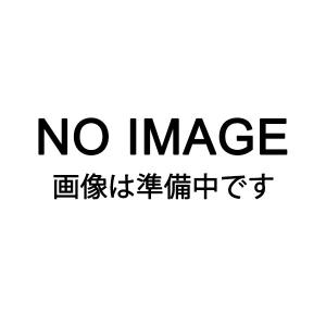 ナイル:エヤーハサミ替刃 NO.100R｜cocoterrace