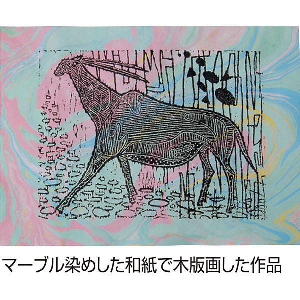 アーテック:BK彩液マーブリング 12cc・6色組 38201 美術 画材 書道 美術 画材