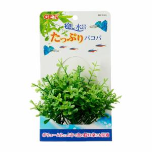 バコパ 水草 水槽用品 の商品一覧 熱帯魚 アクアリウム用品 ペット用品 生き物 通販 Yahoo ショッピング
