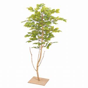 (法人限定) ストアエキスプレス:人工樹木 ミニブナ 板付き フェイクグリーン 人工観葉植物 90cmの商品画像
