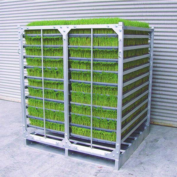 (法人限定)昭和ブリッジ:育苗棚 (パレット付)AR-P AR-80P(メーカー直送品)(車両制限)...