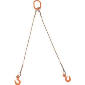 TRUSCO(トラスコ中山):2本吊り玉掛けワイヤロープスリング Wスリングフック付き 9mmX2m...