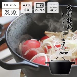 岩鋳（IWACHU） キャセロール 20cm (深型) 南部鉄器 クロコ(CUROCO