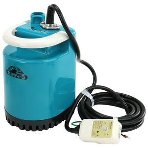 寺田ポンプ 小型 給水ポンプ ハンディーポンプ HP-100 100V 口径15mm