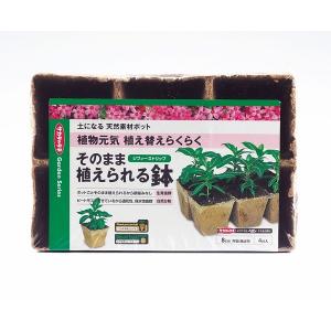 共福産業:ジフィーストリップ 角型 8cm 6X4P 4974449587100 種まき 育苗