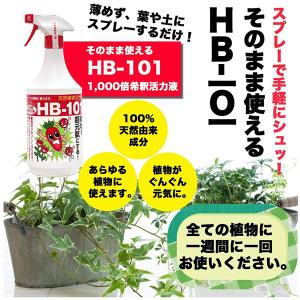 (あすつく) フローラ:そのまま使える HB-...の詳細画像1