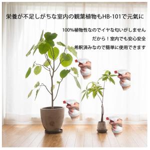 (あすつく) フローラ:そのまま使える HB-...の詳細画像2