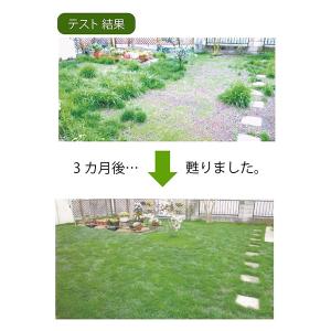 (あすつく) 自然応用科学:芝生が!まくだけで...の詳細画像2